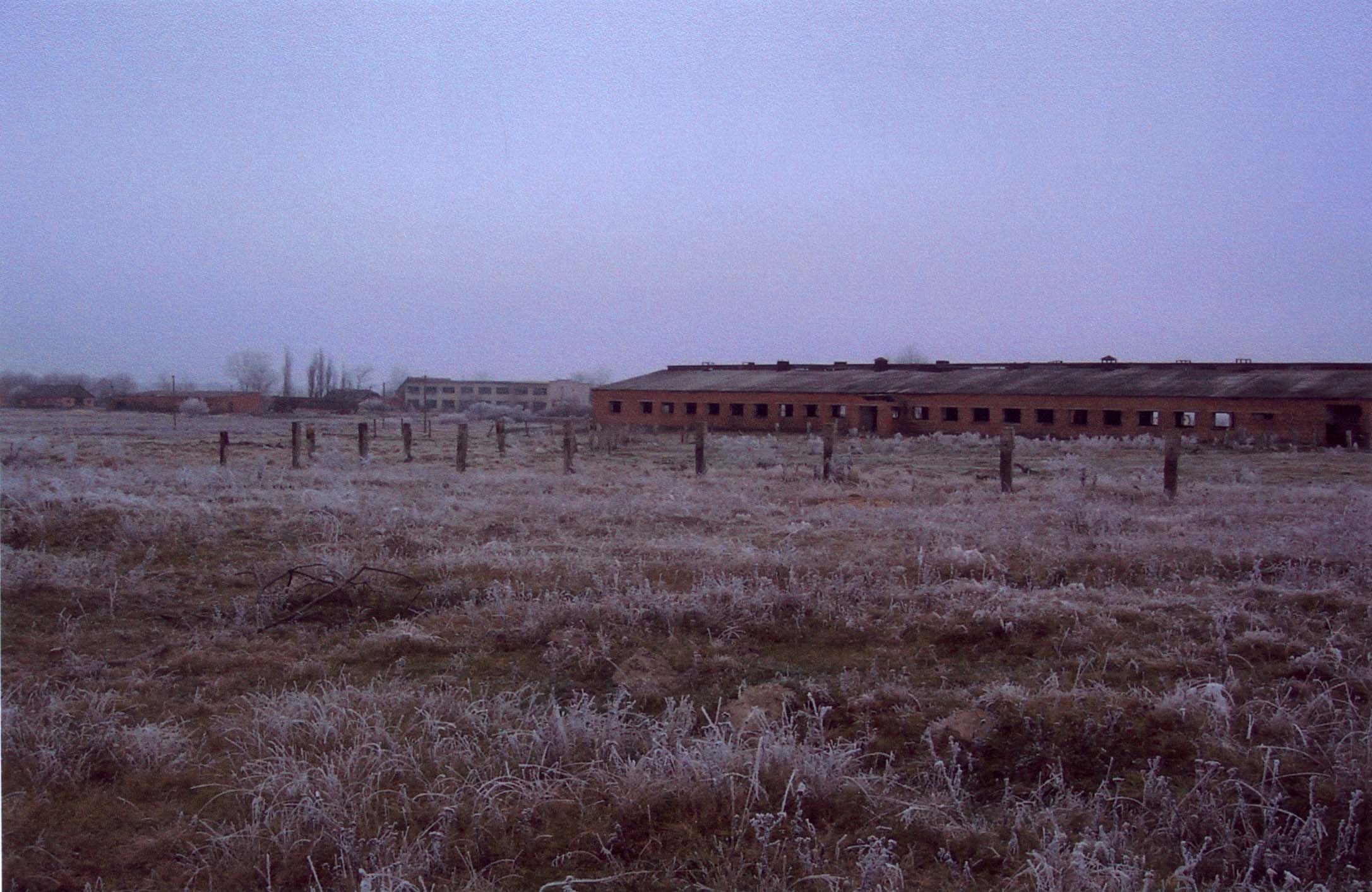 Murder site of Hungarian Jews in the vicinity of the villages of Doroshichi and Kupishche